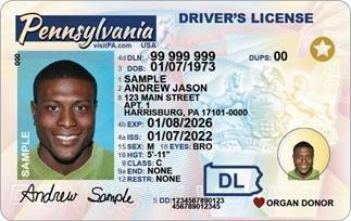 Redesigned License 